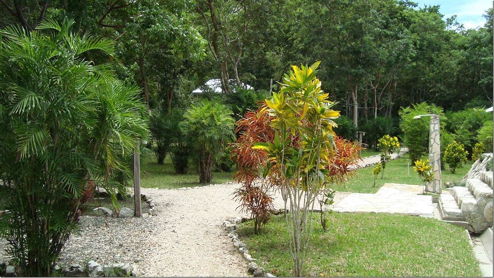 Maya Zac Peten Jungle Lodge El Remate Extérieur photo