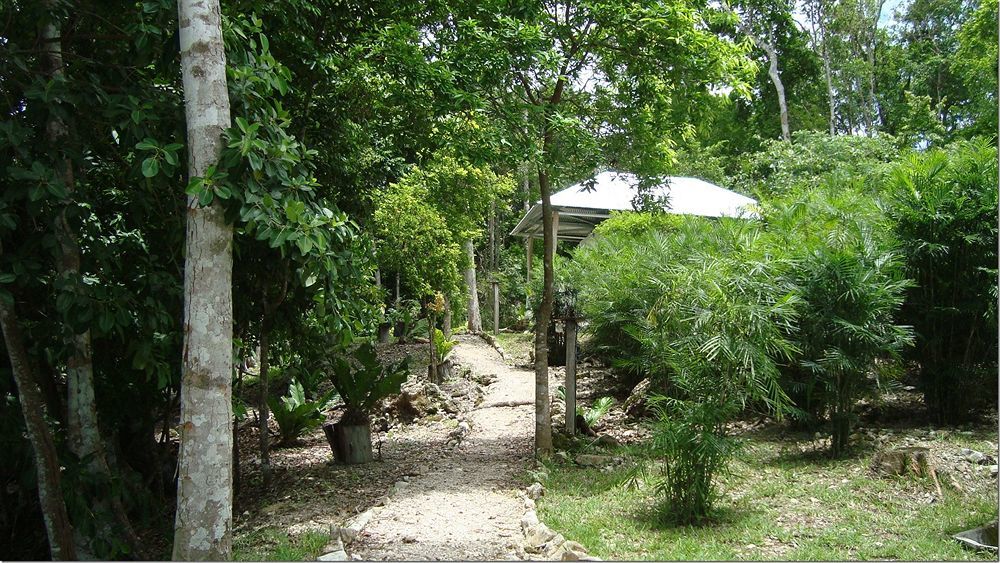 Maya Zac Peten Jungle Lodge El Remate Extérieur photo